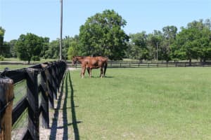 7787 NW 150th Ave, Morriston, FL 32668, - MLS#A11582226