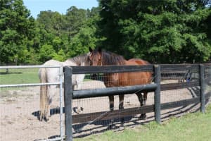 7787 NW 150th Ave, Morriston, FL 32668, - MLS#A11582226