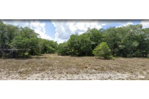 1615 & 1617 Jackson Ave Lehigh Acres, FL 33972 - MLS#A11587392