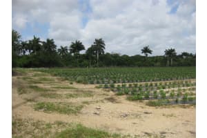 19922 Sw 304th Street Homestead, FL 33030 - MLS#A11597971