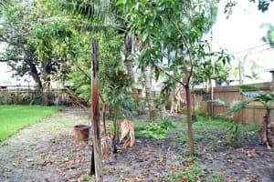 6311 SW 3rd St, Margate, FL 33068, Sold 01/18/25