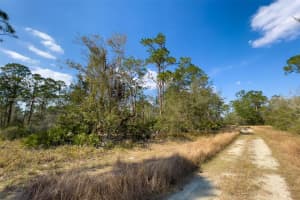 846 Hollywood St Lake Placid, FL 33852 Sold 11/13/24