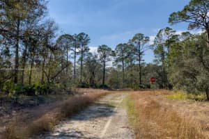 846 Hollywood St Lake Placid, FL 33852 Sold 11/13/24