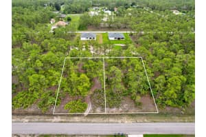 1408 Greenwood Ave Lehigh Acres, FL 33972 - MLS#A11631303
