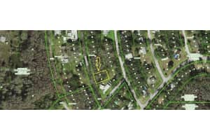 New Port Richey Helena St New Port Richey, FL 34654 - MLS#A11631313