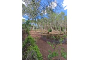 0 125 Ave Jupiter, FL 33478 Sold 09/05/25