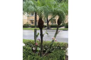 Soriano Dr, Jupiter, FL 33458, Sold 04/11/25