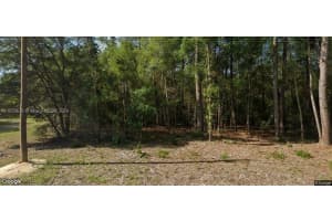 8742 N Nobelton Way Citrus Springs, FL 34434 - MLS#A11650678