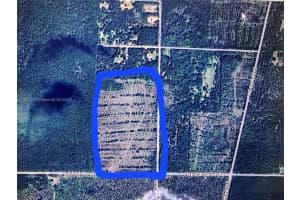 00 Ne 90th Other, FL 32134 - MLS#A11651329