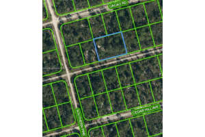 3047 Hollow Oak Ave Lake Placid, FL 33852 Sold 02/27/25