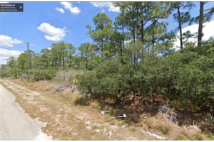 1051 Rigde St Lake Placid, FL 33852 - MLS#A11658170
