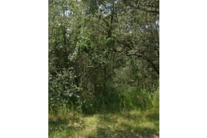 Unknown Pecan Radial Ocala, FL 34472 - MLS#A11660552