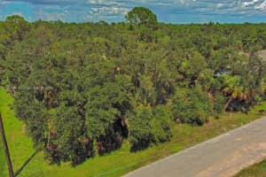 17124 Carleen Ave Port Charlotte, FL 33948 - MLS#A11664201