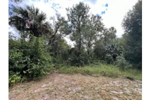 796 Blue Lake Ave Deland, FL 32724 Sold 03/17/25