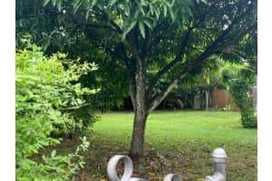 9720 SW 181st Terrace, Palmetto Bay, FL 33157, Sold 12/18/24