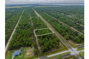 805 Japonica Ave Lake Wales, FL 33855 - MLS#A11668127