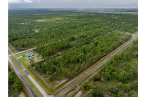 805 Japonica Ave Lake Wales, FL 33855 - MLS#A11668127