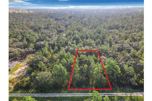 Tbd 0 Sw 125th Court Rd Ocala, FL 34432 Sold 10/24/24