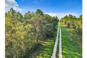 Tbd 0 Sw 125th Court Rd Ocala, FL 34432 Sold 10/24/24
