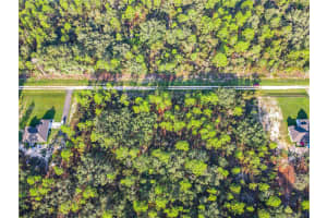 Tbd 0 Sw 125th Court Rd Ocala, FL 34432 Sold 10/24/24