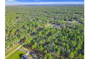 Tbd 0 Sw 125th Court Rd Ocala, FL 34432 Sold 10/24/24