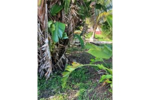 821 NW 10th Ave, Dania Beach, FL 33004, Sold 12/08/24
