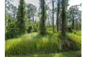 8666 San Mateo Sebring, FL 33825 - MLS#A11676266