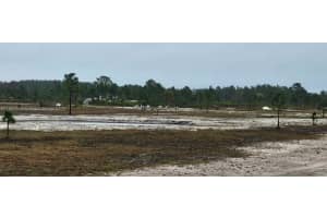 49015 Bermont Rd Punta Gorda, FL 32825 - MLS#A11680514