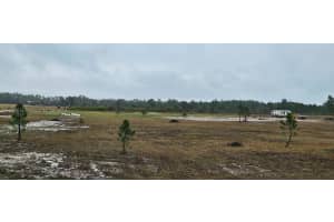 49015 Bermont Rd Punta Gorda, FL 32825 - MLS#A11680514