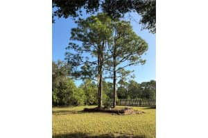 450 N Isora St, Clewiston, FL 33440, Sold 11/20/24