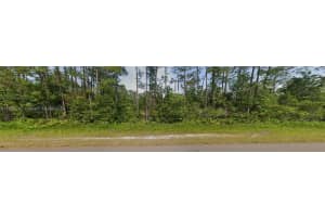 4238 Balboa Blvd Sebring, FL 33872 - MLS#A11682247