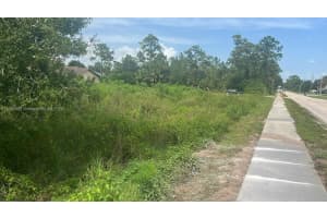 805 E 6 St Lehigh Acres, FL 33972 - MLS#A11685362