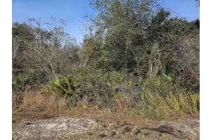 0 Undetermined Ocala, FL 34472 - MLS#A11685766