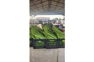 47430 State Rd #80, Palm Beach