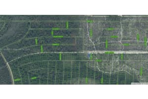6503 Colma Ave Sebring, FL 33872 - MLS#A11693979