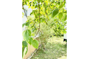 MLS# A11694435, Miami, Florida 33133