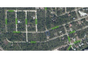 990 Archie Summers Road Lake Placid, FL 33852 - MLS#A11695680
