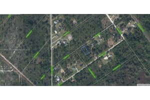 1015 Dearing Street Lake Placid, FL 33852 - MLS#A11695709