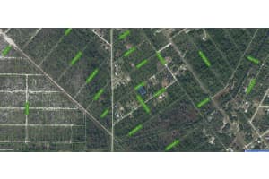 1015 Dearing Street Lake Placid, FL 33852 - MLS#A11695709