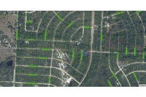 759 Greenwich Ct Lake Placid, FL 33852 - MLS#A11695746