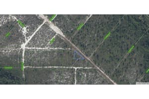 536 Nevada Avenue Lake Placid, FL 33852 - MLS#A11696495