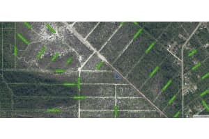 536 Nevada Avenue Lake Placid, FL 33852 - MLS#A11696495