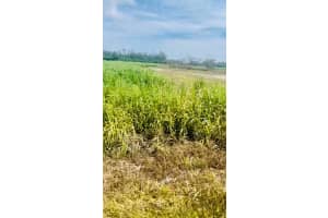  W Corkscrew Blvd Palm Beach, FL 33440 Sold 01/27/25