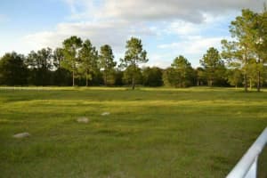 0 464b Southeast 170th (220th) Avenue Other, FL 32668 - MLS#A11696781