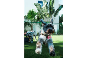 610 NW 2nd St, Hallandale Beach, FL 33009, Sold 11/25/24