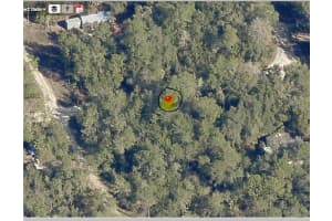 MLS# A11702258, Other, Florida 32113