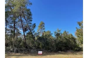 Tbd Sw 168th Loop Ocala, FL 34473 Sold 08/14/25
