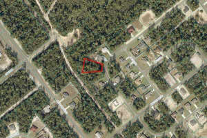 Tbd Sw 168th Loop Ocala, FL 34473 Sold 08/14/25