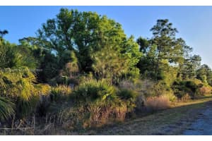 31 Karmain Rd North Port, FL 34288 - MLS#A11703253