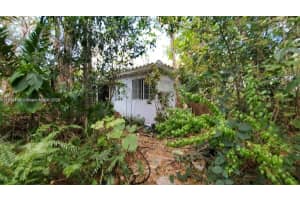 2315 Grant St, Hollywood